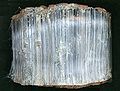 Crocidolite (an asbestos)