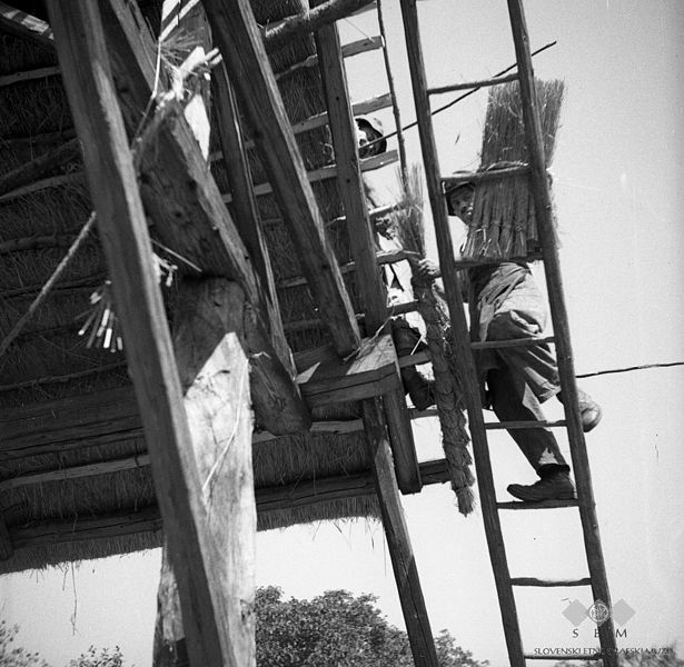 File:Krovca pokrivata Martinkovo lupo, Lučarjev Kal 1950 (2).jpg