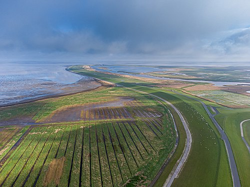 LANDSCAPE: Aerial view of Landschaftsschutzgebiet Krummhörn Photograph: Matthias Süßen