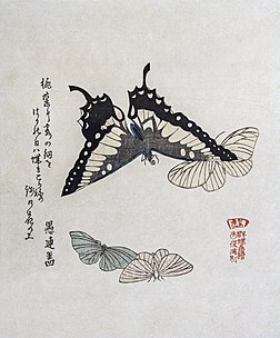 Surimono aux papillons, Kubo Shunman. Les surimono sont de luxueuses estampes japonaises, jouant le rôle de cartes de vœux, et imprimées à titre privé. (définition réelle 3 683 × 4 437*)