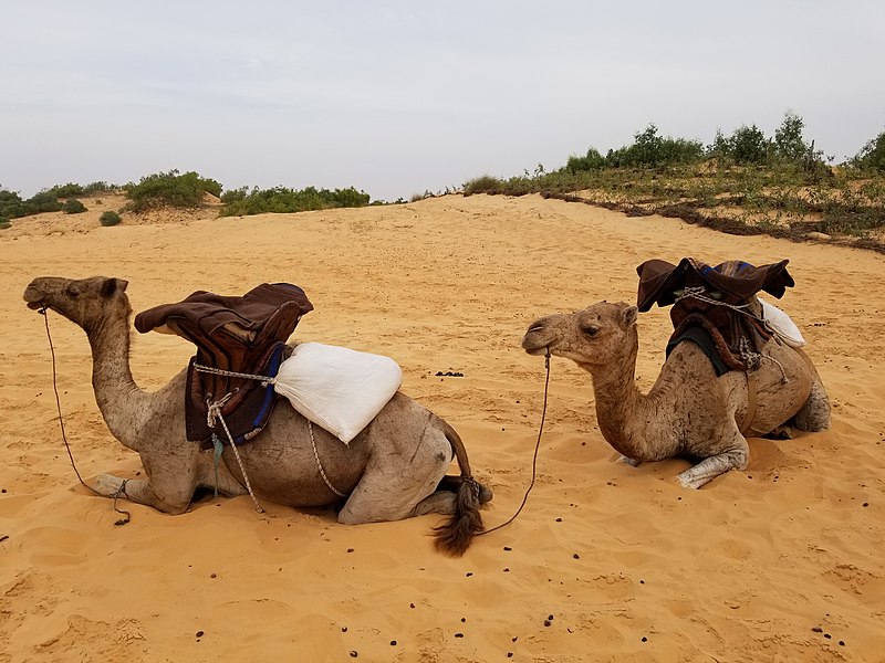 File:Lampoul desert photo 2 by Serdiuk.jpg