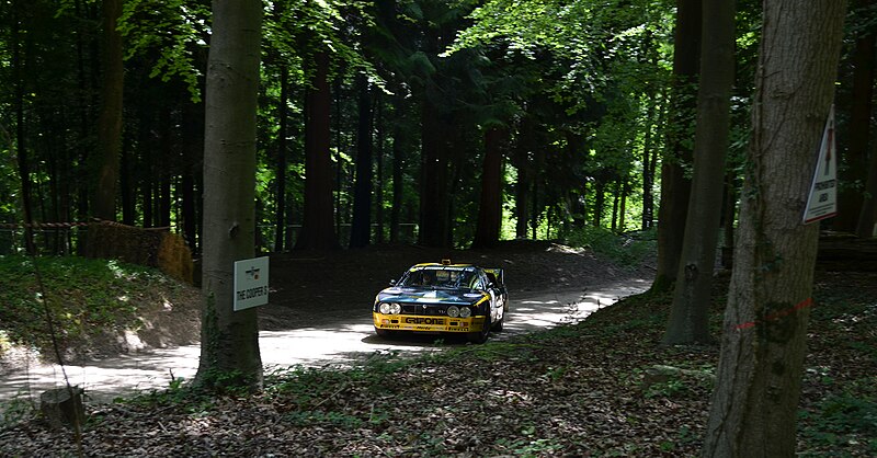 File:Lancia 037 Evo 2 (51329298992).jpg