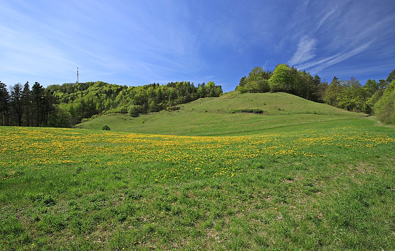 File:Landschaftsschutzgebiet Kulm in Thüringen 2H1A5523WI.jpg