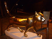 Las gatas del rio - Gata Vellocino de oro (2).JPG