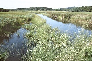 <span class="mw-page-title-main">Deer Creek Township, Otter Tail County, Minnesota</span> Township in Minnesota, United States