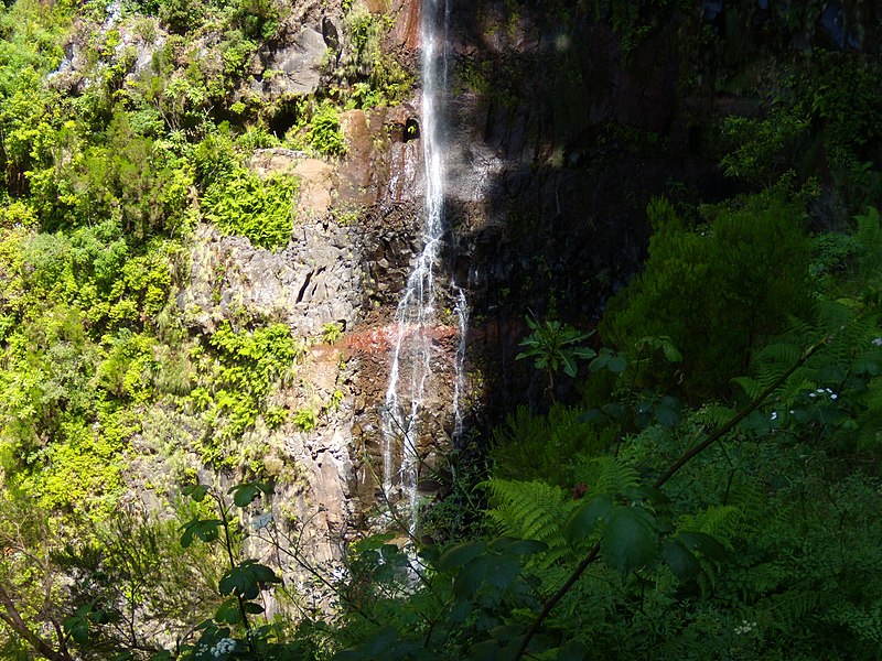 File:Levada do Risco, Madeira, Portugal, June-July 2011 - panoramio (21).jpg