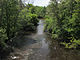 Little Muskegon River from trail bridge in Morley, Michigan.