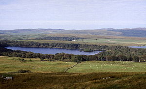 Loch Ballygrant - geograph.org.uk - 113788.jpg