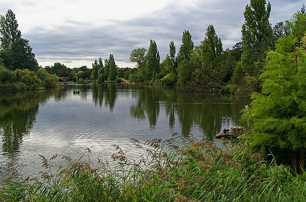 The Serpentine, Hyde Park