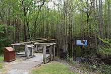 Headwater swamp at the entrance to Louisiana Purchase State Park, southern Monroe County Louisiana Purchase State Park 2015 3.JPG