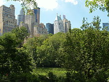 Lower Central Park Shot 2.JPG