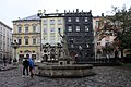 Lviv-72-Brunnen-2014-gje.jpg