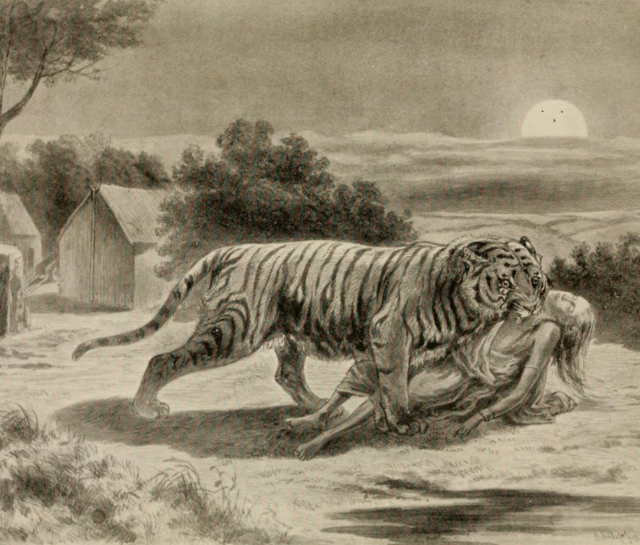 Bengal tiger(Maneater), Fear world Wiki