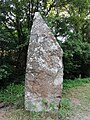 Menhir de la Roche Gorron 08.jpg