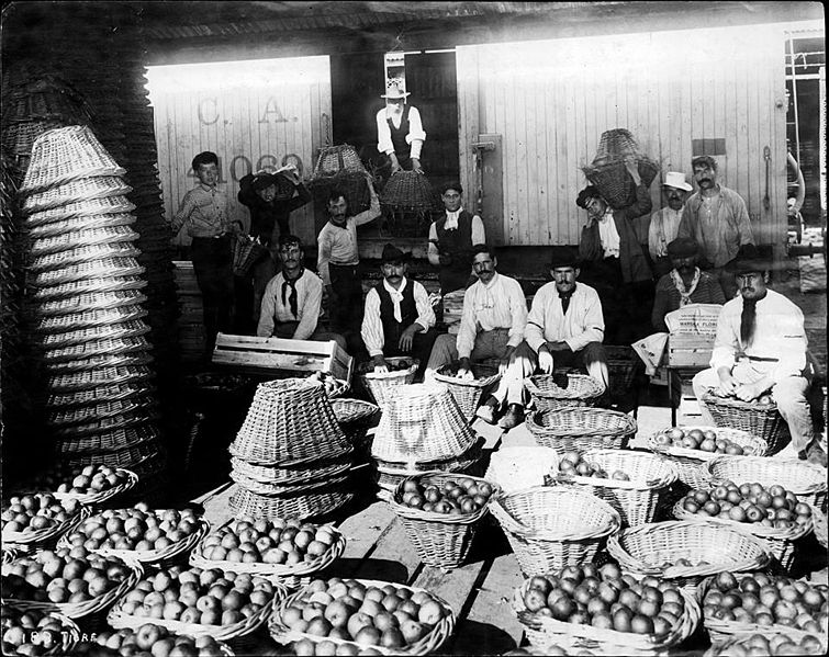 File:Mercado frutos tigre 1902.jpg