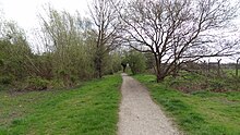 Merton Park Green Walks 3. JPG