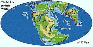 <span class="mw-page-title-main">Middle Jurassic</span> Second part of the Jurassic geological period, from 174 to 163 million years ago