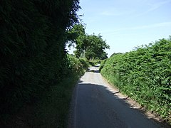 Mill Lane - geograph.org.uk - 3553327.jpg