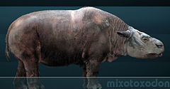 Mixotoxodon.jpg