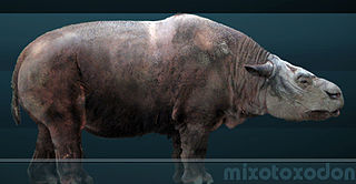 <i>Mixotoxodon</i> genus of mammals