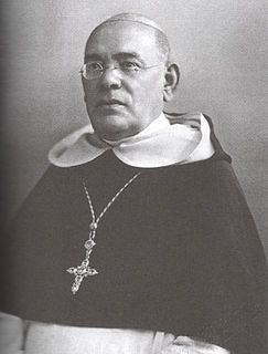 Angelo Portelli 20th-century Catholic bishop