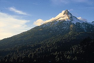 <span class="mw-page-title-main">Volcán Nevado de Colima National Park</span> National park in Mexico