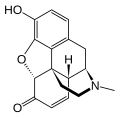 20:09, 15 Ապրիլի 2008 տարբերակի մանրապատկերը