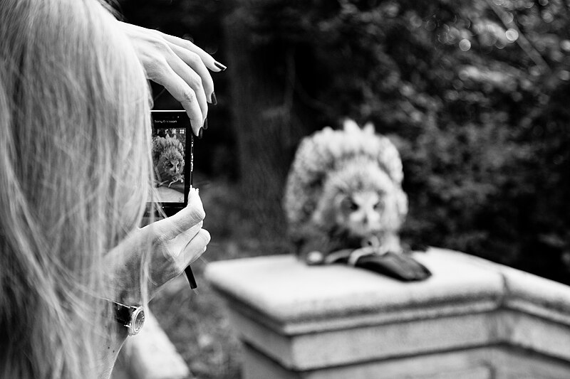 File:Moscow, photographing a captive owl in Neskuchny Garden (6113047455).jpg