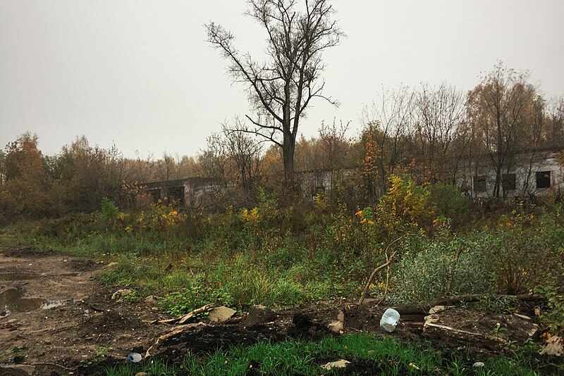 File:Moscow, ruins around Belokamennaya railway station (30888098624).jpg