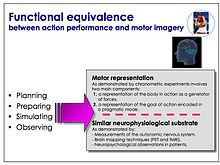 Converging empirical evidence indicates a functional equivalence between action execution and motor imagery. Motor imagery3.jpg