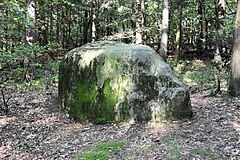 Foundling "sacrificial stone Dalumer Brotschapp" in Bippen