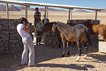 Cuatro personas alrededor de un caballo, una de las cuales toma una foto.