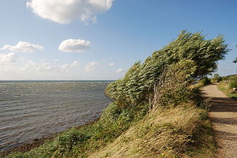 Naturschutzgebiet Geltinger Birk in Schleswig-Holstein