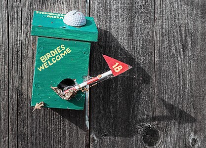 Golf-themed nest box, Chico, California