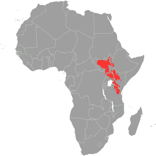 File:Nilotic languages.png