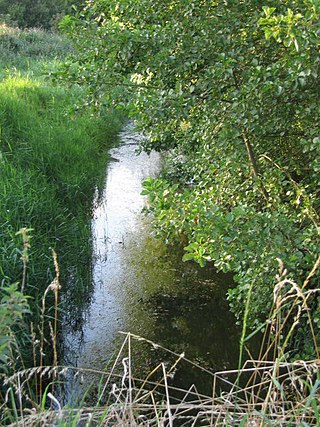 <span class="mw-page-title-main">Priory Meadows, Hickling</span>