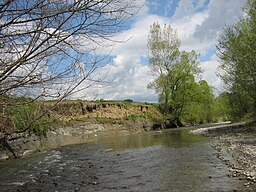 Niraj River httpsuploadwikimediaorgwikipediacommonsthu