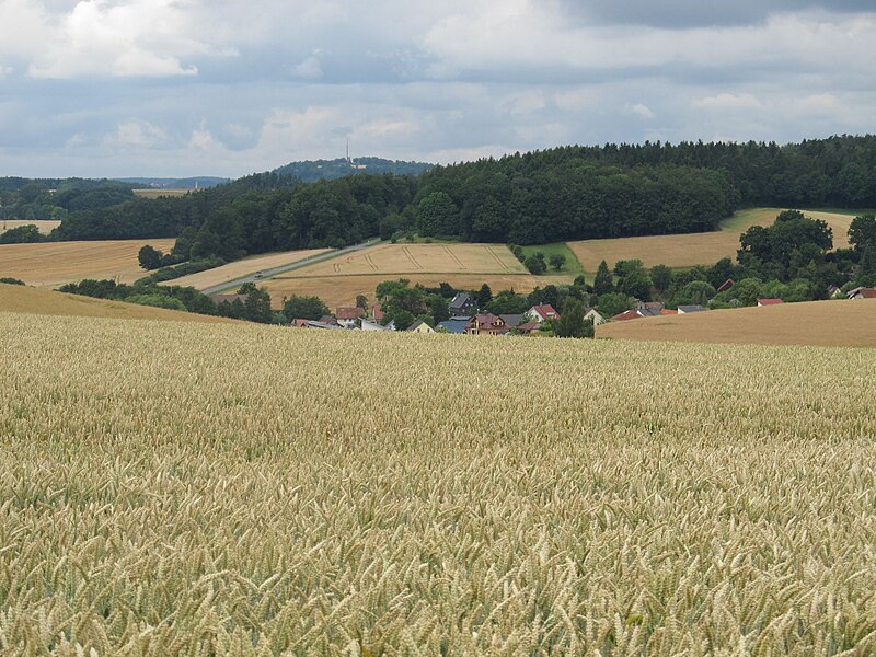 File:Oberfüllbach20.jpg