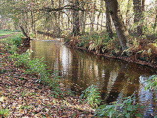 Ölbach (Wapelbach) River in Germany