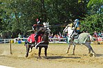 Ohio Renaissance Festival