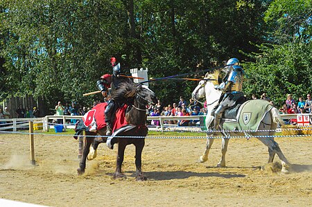 Ohio Renaissance Festival 2