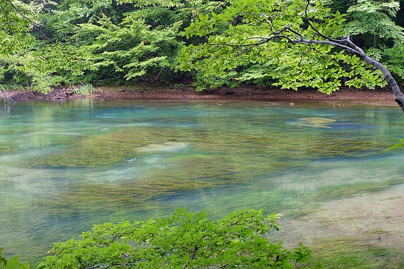 File:Oirase Mountain Stream at Lake Towada - Nenokuchi, Aomori - DSC01048.jpg
