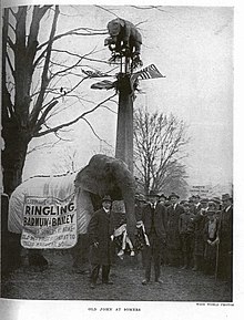 Old John laying a wreath at the monument to Old Bet in Somers, New York Oldjohn somers.jpg