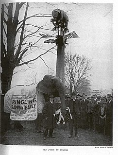 John L. Sullivan (elephant) Boxing elephant of the Adam Forepaugh Circus