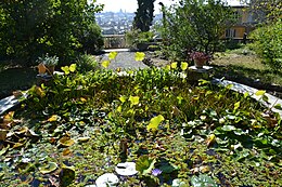 Jardin Botanique de l'Université de Gênes 04.jpg