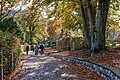 English: Autumnal promenade Deutsch: Herbstliche Promenade