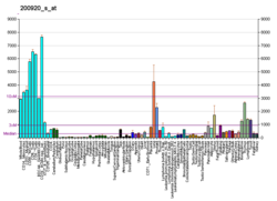 PBB GE BTG1 200920 s at fs.png