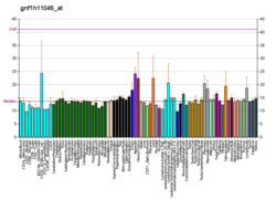 PBB GE OR2K2 gnf1h11045 at fs.png