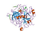 1doj: Crystal structure of human alpha-thrombin*RWJ-51438 complex at 1.7 A