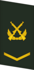PLAGF-Kołnierz-0703-CPL.png